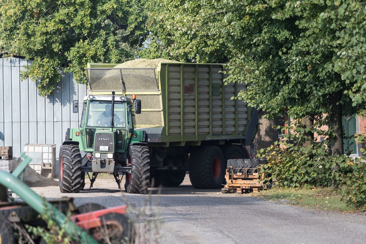 Bild 171 - Maisernte